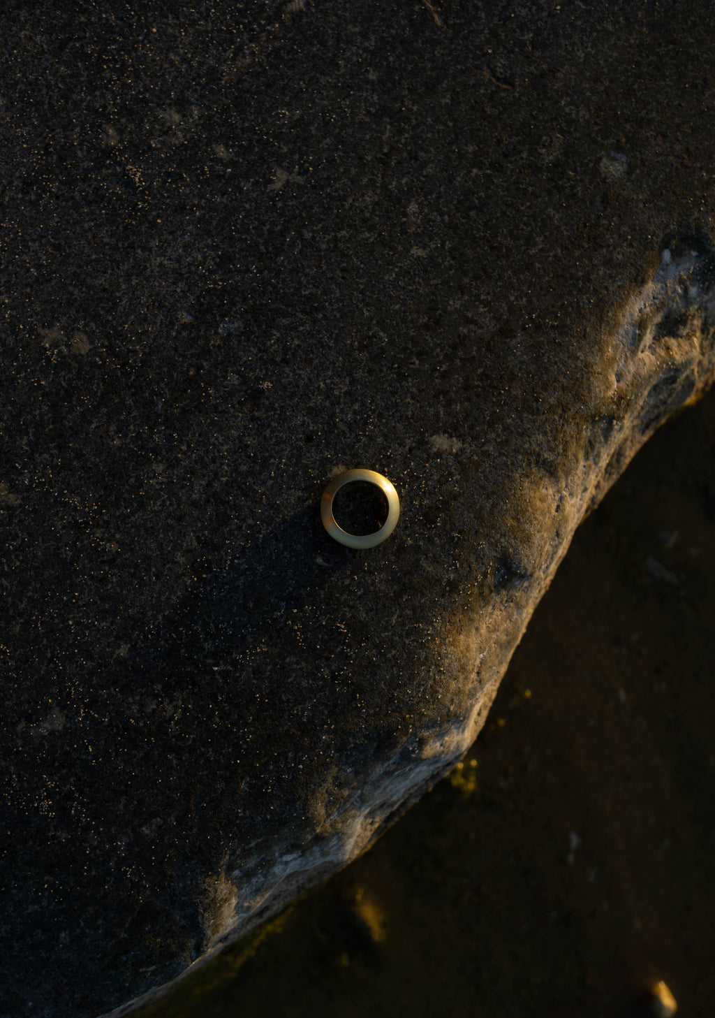 saucer band